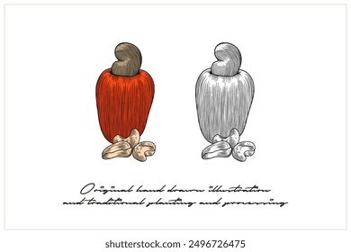 Colored cashew illustration using engraving technique