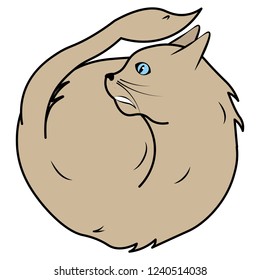 colored Cat rolling itself as a ball having fun hand drawn doodle artwork
