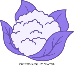 Colored Cauliflower Icon. Vector Icon of Natural and Organic Products. Vegetarian food. Vegetables Concept