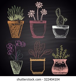 Colored chalk drawn set with different types of flowerpots (cactus, aloe, ficus, orchid, rosemary, chamomile). House theme.