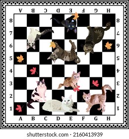 Colored chessboard for cat lovers. Figures of cats are drawn over chess cells. Two teams of cats want to fight in a friendly tournament for the chess crown. An excellent gift for a child.
