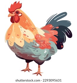 Colored chicken vector over white