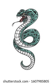 Colored cobra snake isolated on white. Viper. Vector illustration.