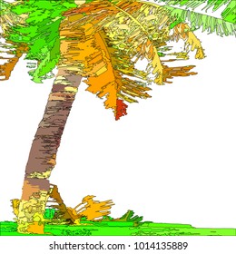 Colored Coconut Tree Sketch On 260nw 1014135889 