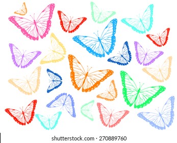 Colored contours butterfly background