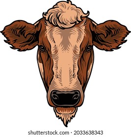 Colored Cow Face Close Up
