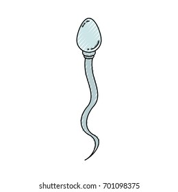 colored crayon silhouette of front view spermatozoon vector illustration