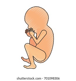 colored crayon silhouette of side view fetal growth a ninth month vector illustration