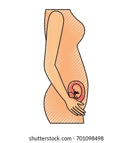 colored crayon silhouette of side view pregnancy process in female body fetus human growth vector illustration