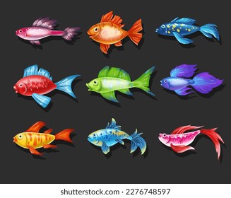 Pescado marino bonito y de colores. Juego de dibujos animados de vectores de agua dulce
  caracteres acuarios aislados en fondo negro. Variedades de peces decorativos subacuáticos de color popular para la impresión, desarrollo infantil
