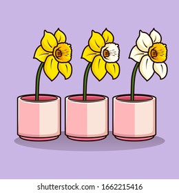 Colored of Daffodils Flower, Vector Set Different Color of Daffodils