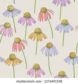 Colored Daisy on a background of ivory. Seamless vector pattern.