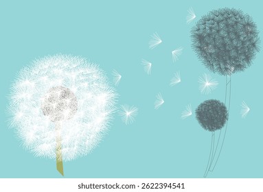 Colored and dark line dandelion. Vector illustration.