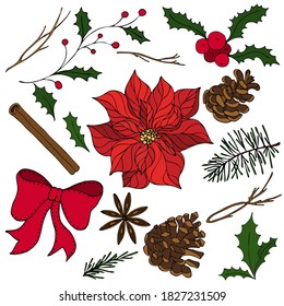 colored decorative elements for new year and christmas - poinsettia, holly, pine cone, cinnamon, tree, vector set of elements in doodle style