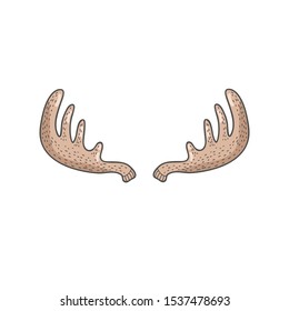 Colored deer horns. Vector freehand illustration in doodle style. Moose antlers