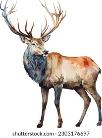 Colored Deer Vector, Print, Illustration