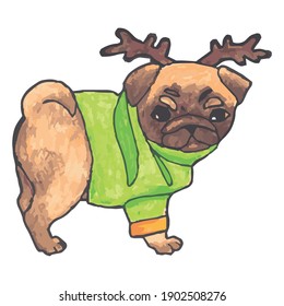 Colored dog, in costume, vector file, no background, cover, gift. 
Pet dressed in dress, in sweatshirt, in clothes. 
Drawing on clothing and T-shirts, Printed on bag, Greeting card