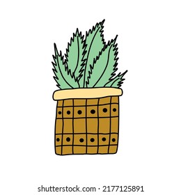 Colored doodle drawing of a plant in a pot