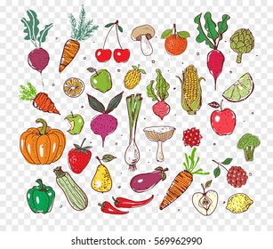 Colored Doodle Fruits And Vegetables. Vector Sketch Illustration Of Healthy Food.