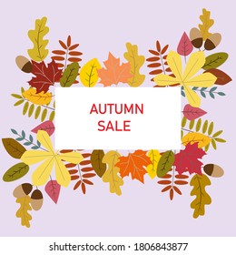 Colored doodle leaves: acorns, oak, maple and others. Autumn banner. 