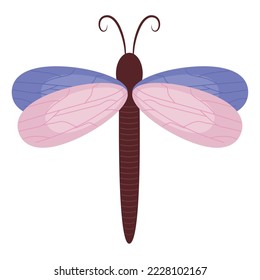 colored dragonfly design over white