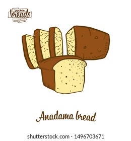 Colored drawing of Anadama bread bread. Vector illustration of Yeast bread food, usually known in United States, New England. Colored Bread sketches.