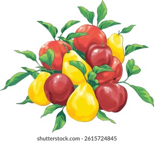 Colored drawing of apple and pear fruits