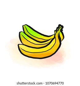  Colored drawing of bananas. Fresh design of colorful fruits made in watercolor style. Modern marketing illustration on white background.