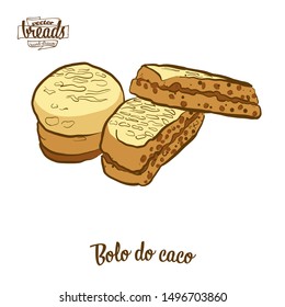 Colored drawing of Bolo do caco bread. Vector illustration of Flatbread food, usually known in Portugal, Madeira. Colored Bread sketches.