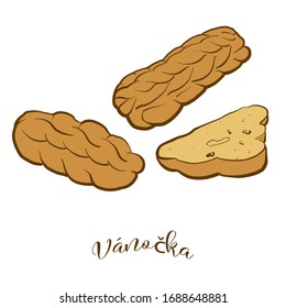 Colored drawing of Vánočka bread. Vector illustration of Leavened food, usually known in Czech Republic, Slovakia. Colored Bread sketches.