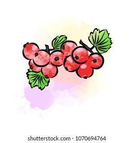 Colored drawing of currant. Fresh design of colorful fruits made in watercolor style. Modern marketing illustration on white background.