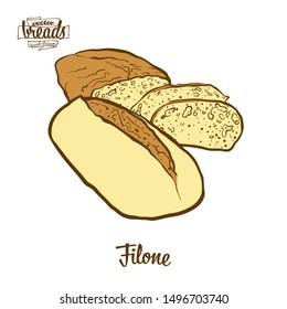 Colored drawing of Filone bread. Vector illustration of Leavened food, usually known in Italy. Colored Bread sketches.