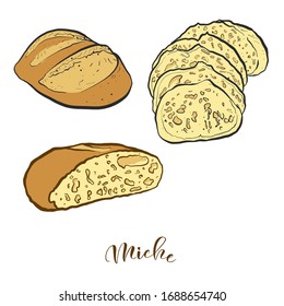 Colored drawing of Miche bread. Vector illustration of Leavened food, usually known in France. Colored Bread sketches.