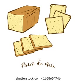 Colored drawing of Pain de mie bread. Vector illustration of White food, usually known in Italy. Colored Bread sketches.