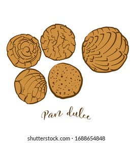 Colored drawing of Pan dulce bread. Vector illustration of Sweet bread food, usually known in Mexico. Colored Bread sketches.