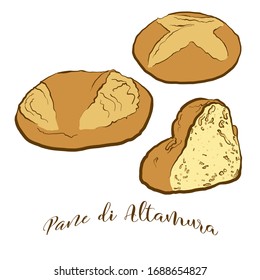 Colored drawing of Pane di Altamura bread. Vector illustration of Leavened food, usually known in Italy. Colored Bread sketches.