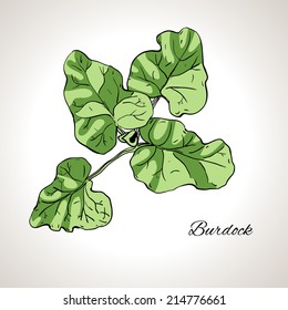 Colored drawing plant burdock