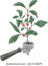  Colored drawing of portafilter with coffee plant