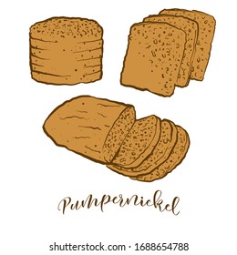 Colored drawing of Pumpernickel bread. Vector illustration of Rye food, usually known in Germany. Colored Bread sketches.