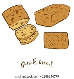 Colored drawing of Quick bread bread. Vector illustration of Leavened food, usually known in North America. Colored Bread sketches.