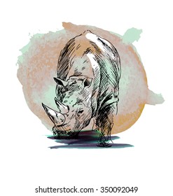Colored drawing of a rhino