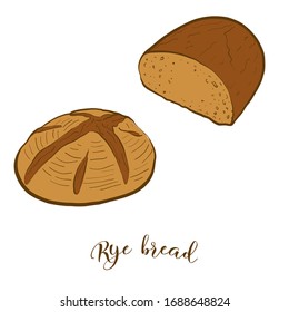 Colored drawing of Rye bread bread. Vector illustration of Leavened food, usually known in Europe, America, Israel. Colored Bread sketches.