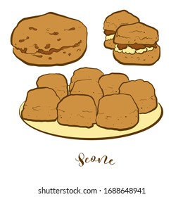 Colored drawing of Scone bread. Vector illustration of Quick bread food, usually known in United Kingdom. Colored Bread sketches.