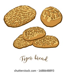 Colored drawing of Tiger bread bread. Vector illustration of Rice bread food, usually known in Netherlands. Colored Bread sketches.