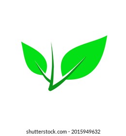 icono de hoja ecológica de color en fondo aislado