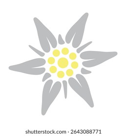 O ícone Edelweiss colorido. Uma rara flor de montanha que cresce nos Alpes. O símbolo da Áustria e da Baviera. Ilustração vetorial para design e web.