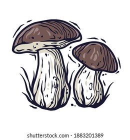 Colored element of boletus. Seasonal autumn vector illustration of mushroom for any kinds of design or vegan menu