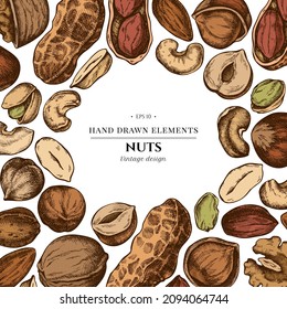 Colored elements design with cashew, peanut, pistachio, hazelnut, almond, walnut