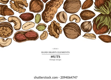 Colored elements design with cashew, peanut, pistachio, hazelnut, almond, walnut