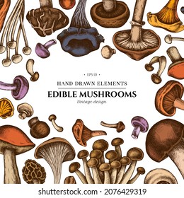 Colored elements design with oyster mushroom, champignon, honey agaric, shiitake, porcini, morel mushroom, chanterelle, aspen mushroom, enoki , shimeji, black chanterelle, red pine mushroom